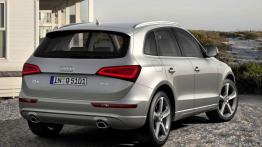Audi Q5 Facelifting - widok z tyłu