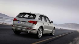 Audi Q5 Facelifting - widok z tyłu