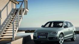Audi Q5 Facelifting - widok z przodu