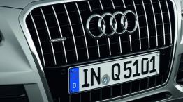 Audi Q5 Facelifting - grill