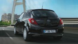 Opel Corsa D Van Facelifting - widok z tyłu