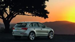 Audi Q5 Facelifting - prawy bok