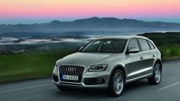 Audi Q5 Facelifting - lewy bok