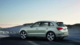 Audi Q5 Facelifting - lewy bok