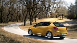 Seat Ibiza V Hatchback 5d Facelifting - lewy bok