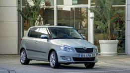 Przegląd rynku nowych samochodów: tanie auta z LPG