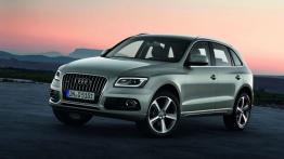 Audi Q5 Facelifting - lewy bok