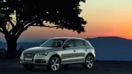 Audi Q5 Facelifting - lewy bok
