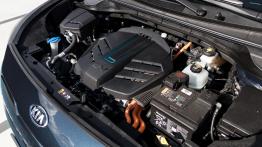Kia e-Niro – znalazła sposób na niezły zasięg