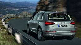 Audi Q5 Facelifting - widok z tyłu