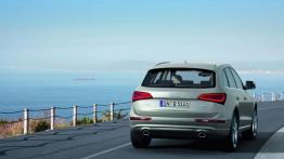 Audi Q5 Facelifting - widok z tyłu