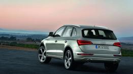 Audi Q5 Facelifting - widok z tyłu