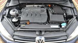Powrót na szczyt? Volkswagen Golf 2.0 TDI Bluemotion DSG