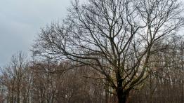 Kia Optima Kombi GT - wreszcie 245 KM! 