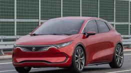 Koniec chińskiego snu o Izerze? Polska szuka ratunku w Europie, Japonii i Korei