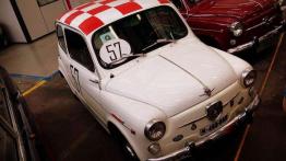 Kolekcja Seata - ukryta perełka