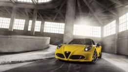 Alfa Romeo 4C Spider (2016) - wersja amerykańska - widok z przodu