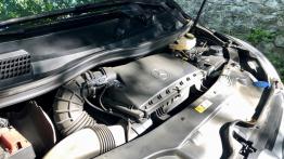Mercedes-Benz V 250d 4Matic – rodzinny autobus czy firmowa taksówka?