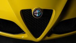 Alfa Romeo 4C Spider (2016) - wersja amerykańska - grill