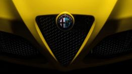 Alfa Romeo 4C Spider (2016) - wersja amerykańska - grill