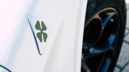 Alfa Romeo Stelvio Q. Zdecydowana czołówka!