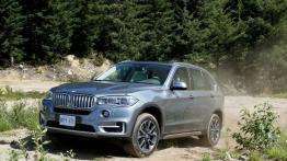 BMW X5 III (2014) xDrive30d - wersja amerykańska - widok z przodu