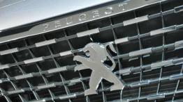 Peugeot 3008 – Niespodzianka