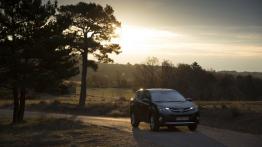 Toyota RAV4 IV - wersja europejska - widok z przodu