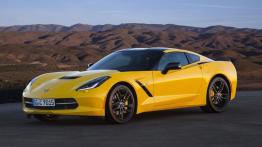 Chevrolet Corvette C7 Stingray Coupe (2014) - wersja europejska - lewy bok