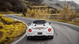 Alfa Romeo 4C Spider (2016) - wersja amerykańska - widok z tyłu
