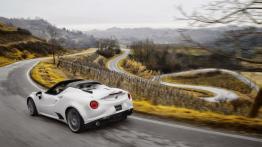 Alfa Romeo 4C Spider (2016) - wersja amerykańska - widok z tyłu