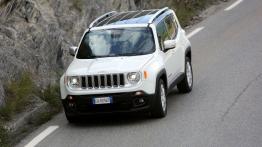 Jeep Renegade Limited (2015) - wersja europejska - widok z góry