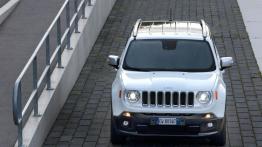 Jeep Renegade Limited (2015) - wersja europejska - widok z góry
