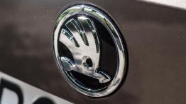 Skoda Kodiaq - czeski SUV z akcentem wprost z Alaski