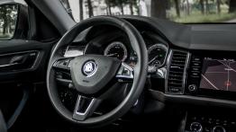 Skoda Kodiaq - czeski SUV z akcentem wprost z Alaski