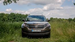 Skoda Kodiaq - czeski SUV z akcentem wprost z Alaski