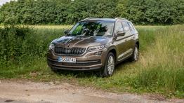Skoda Kodiaq - czeski SUV z akcentem wprost z Alaski