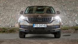 Skoda Kodiaq - czeski SUV z akcentem wprost z Alaski