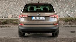 Skoda Kodiaq - czeski SUV z akcentem wprost z Alaski