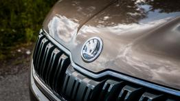 Skoda Kodiaq - czeski SUV z akcentem wprost z Alaski