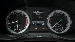 Skoda Kodiaq - czeski SUV z akcentem wprost z Alaski