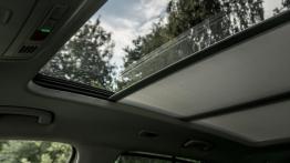 Skoda Kodiaq - czeski SUV z akcentem wprost z Alaski