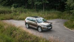 Skoda Kodiaq - czeski SUV z akcentem wprost z Alaski