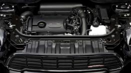 Sport bardziej praktyczny - Mini Countryman John Cooper Works