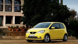 Seat Mii - nowy hit niebawem na rynku?