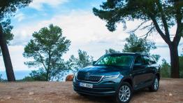 Skoda Kodiaq – miś o niemałym rozumku