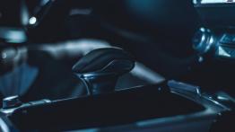 Kia Stinger - śmiała zmiana wizerunku 