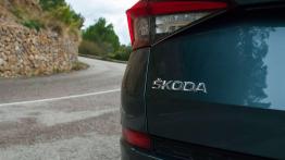Skoda Kodiaq – miś o niemałym rozumku