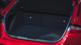 Kia Stinger - śmiała zmiana wizerunku 