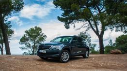 Skoda Kodiaq – miś o niemałym rozumku